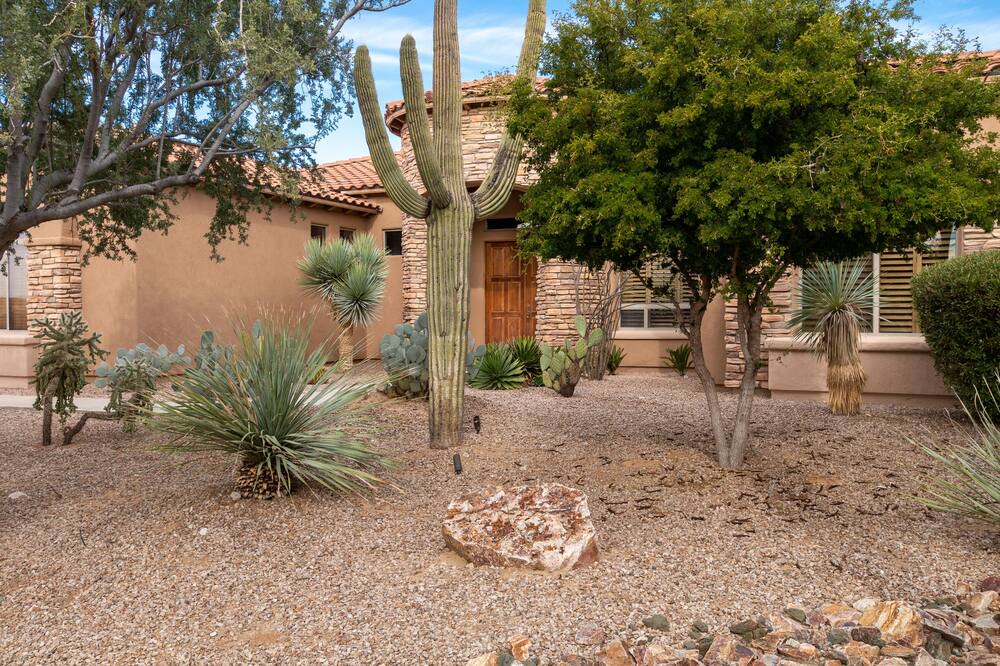 Photo of Outdoor in Dove Mountain