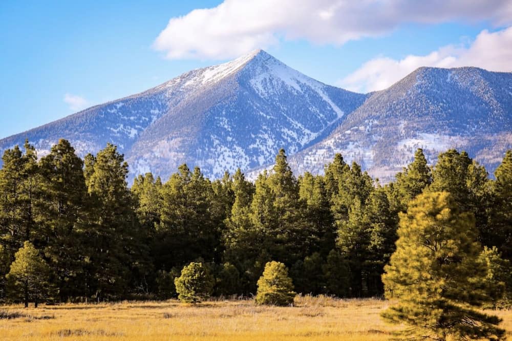Photo of Others in Flagstaff