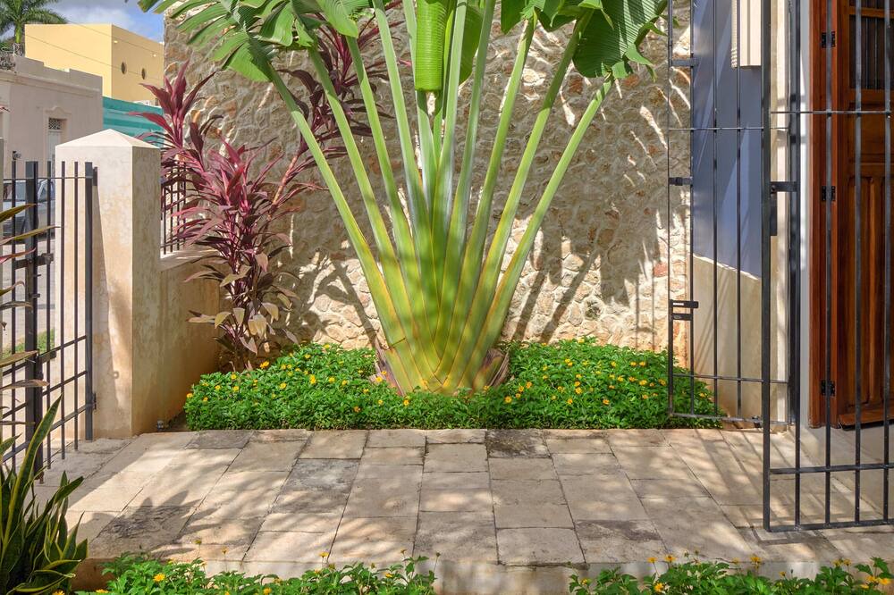 Photo of Outdoor in Barrio de Santiago