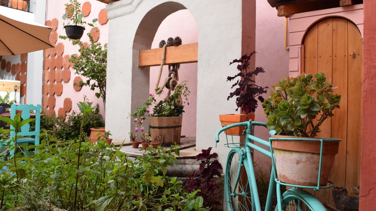 Photo of Outdoor in De Mexicanos