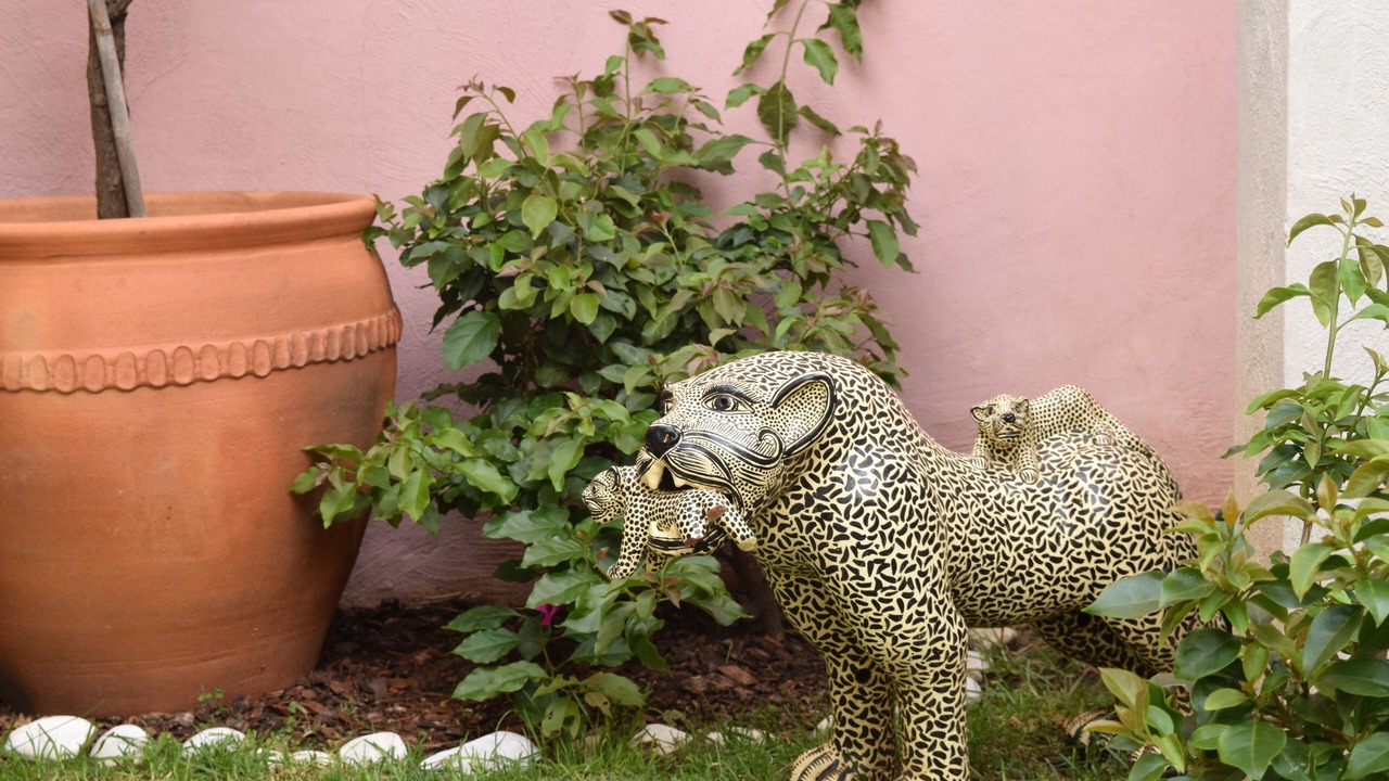 Photo of Outdoor in De Mexicanos