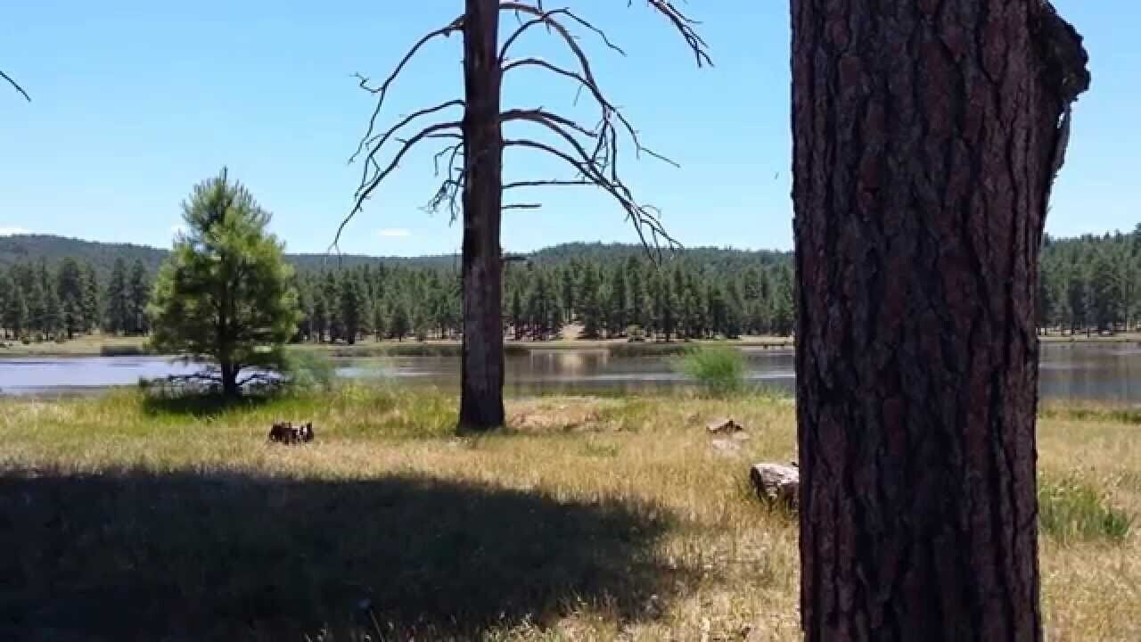 Photo of Outdoor in Munds Park