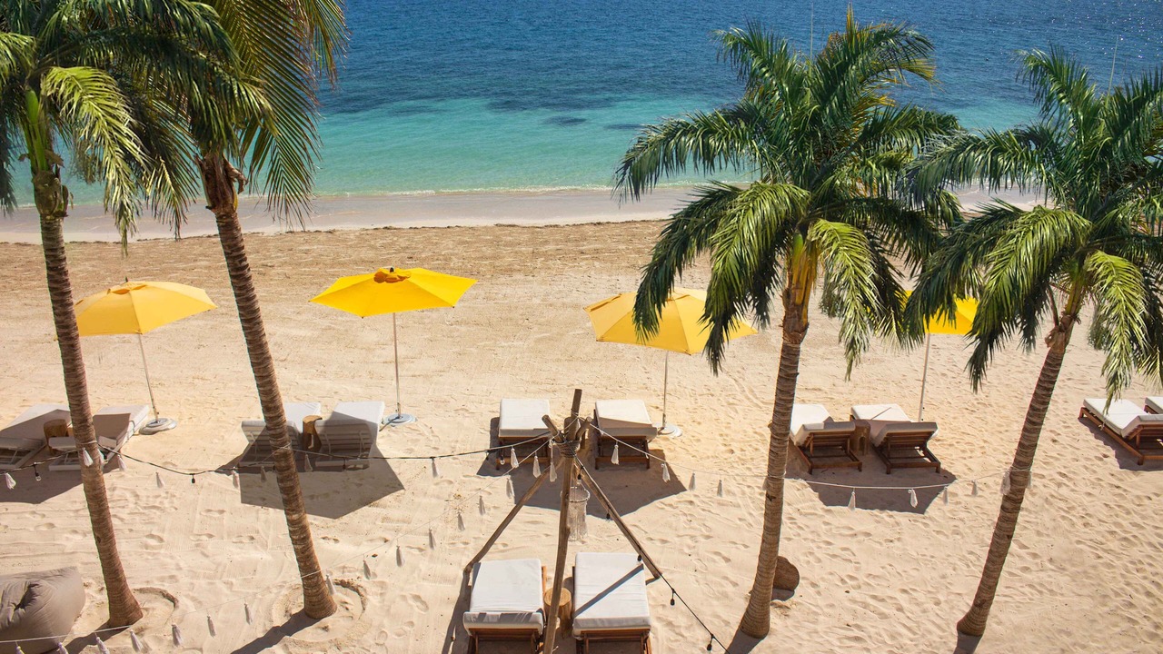 Photo of Others in Puerto Morelos