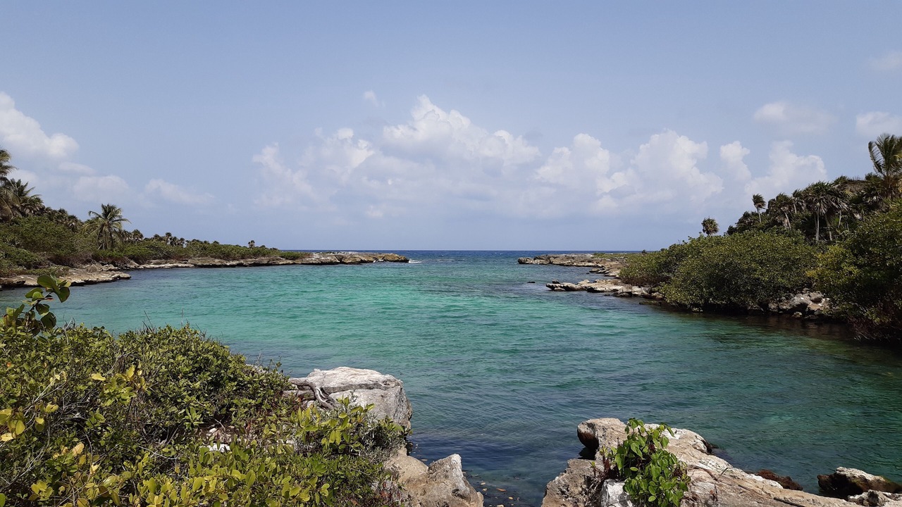 Photo of Others in Akumal