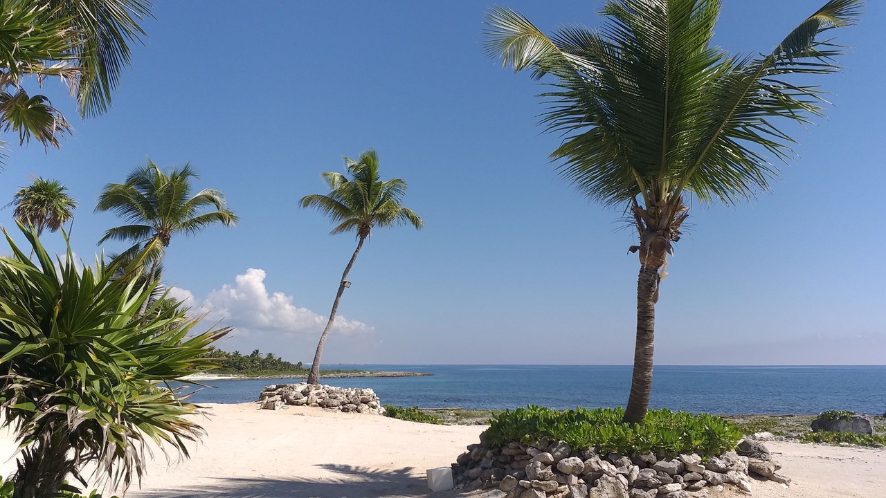 Photo of Others in Akumal