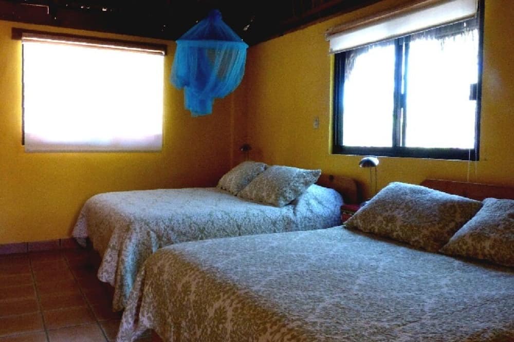Photo of Bedroom in Cabo Pulmo