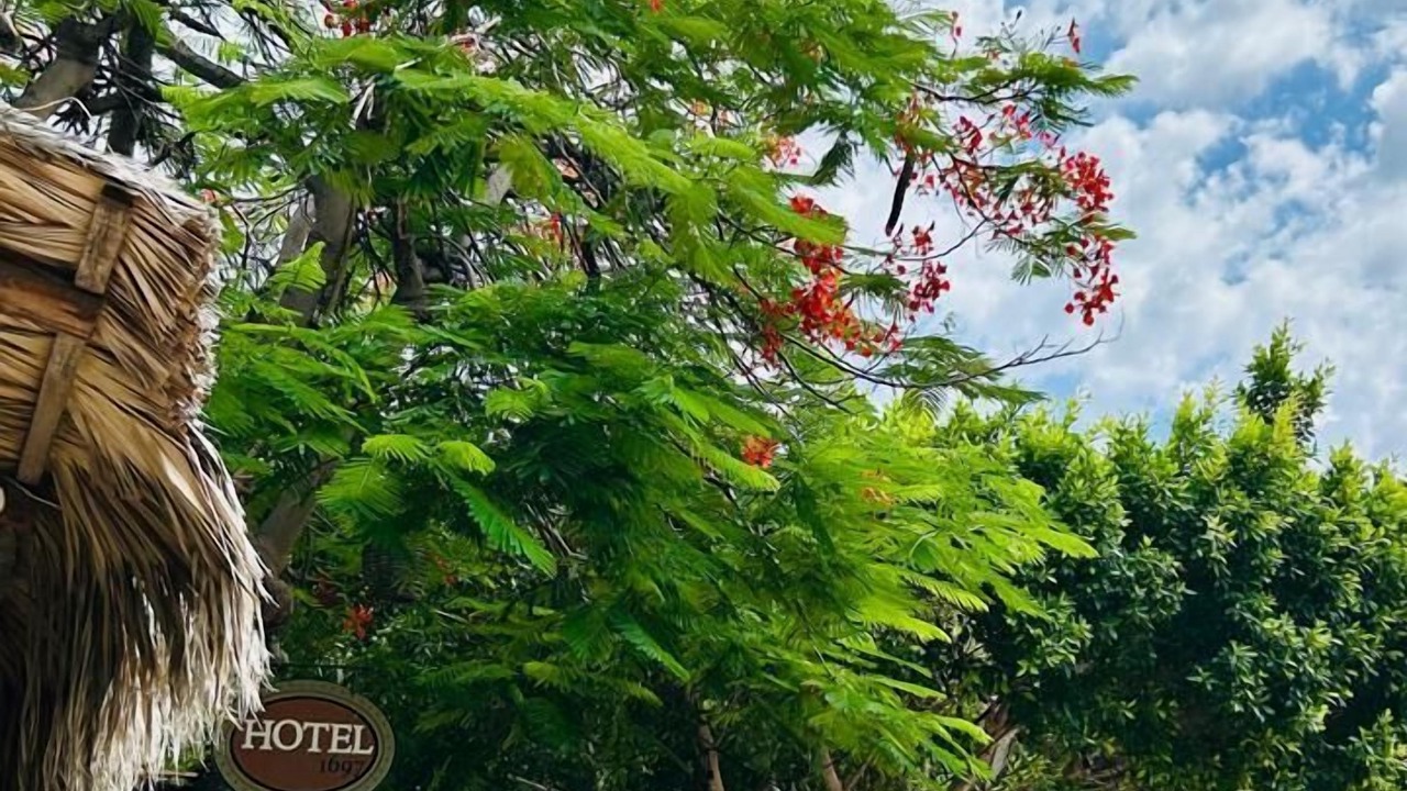 Photo of Outdoor in Loreto