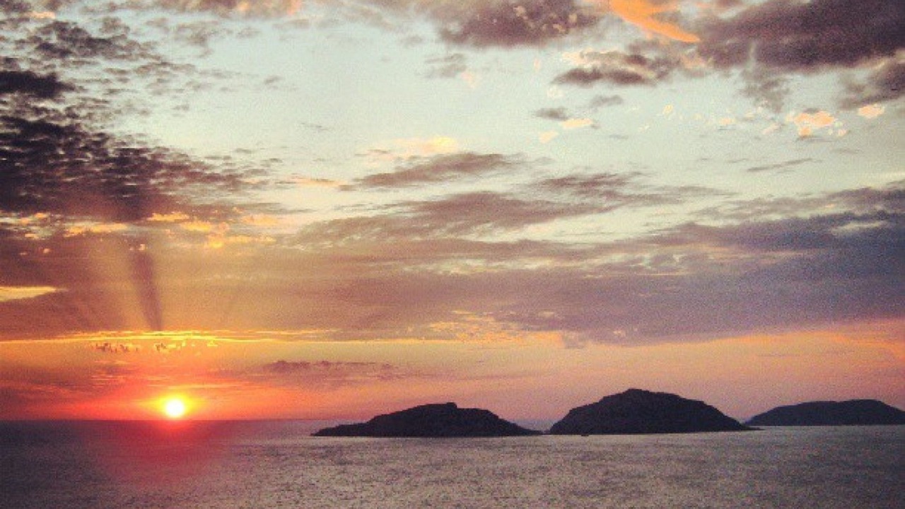 Photo of Others in Mazatlan