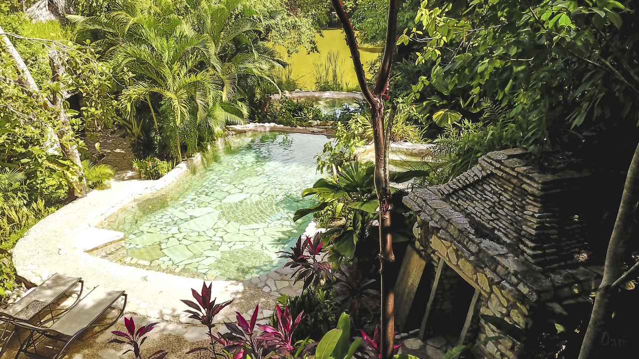 Photo of Outdoor in Palenque
