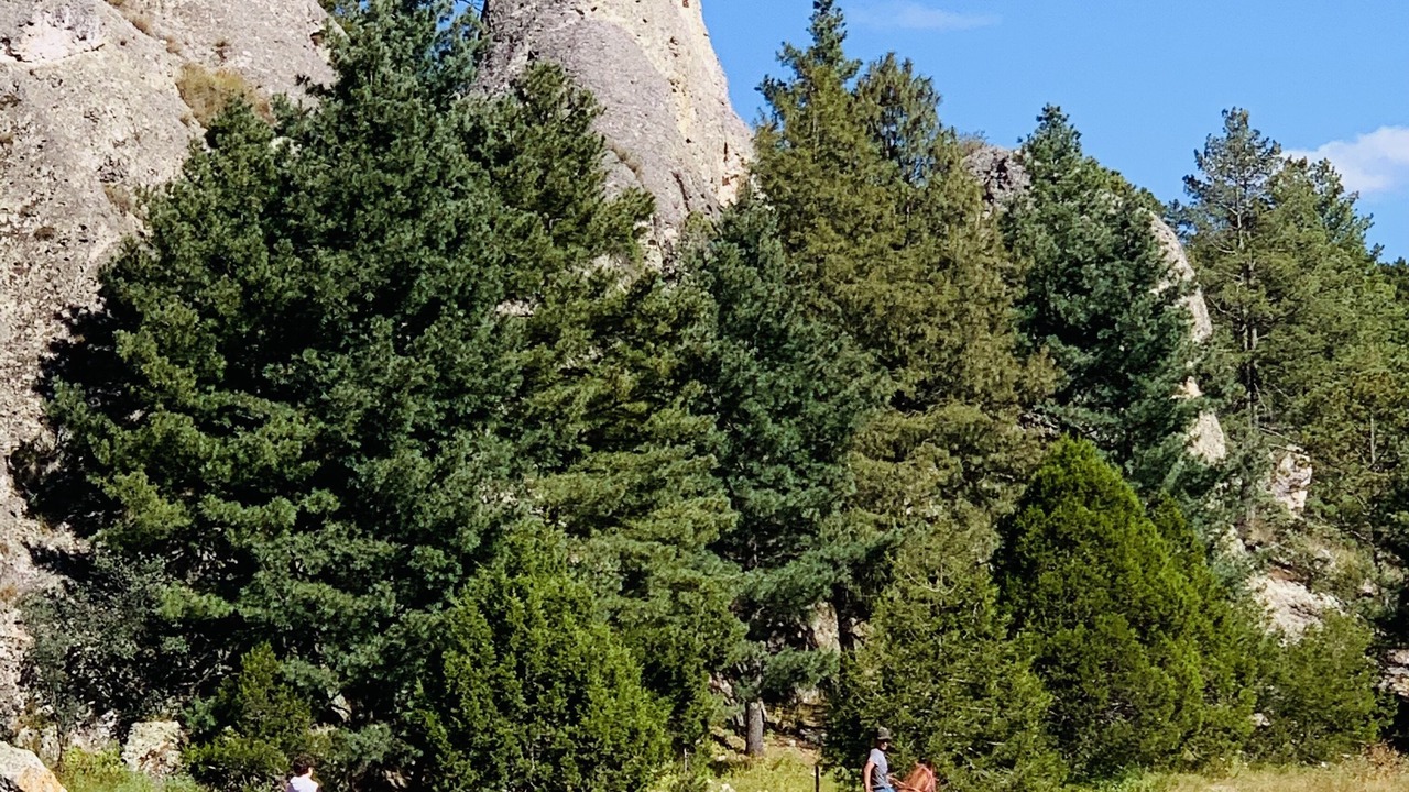 Photo of Outdoor in Creel