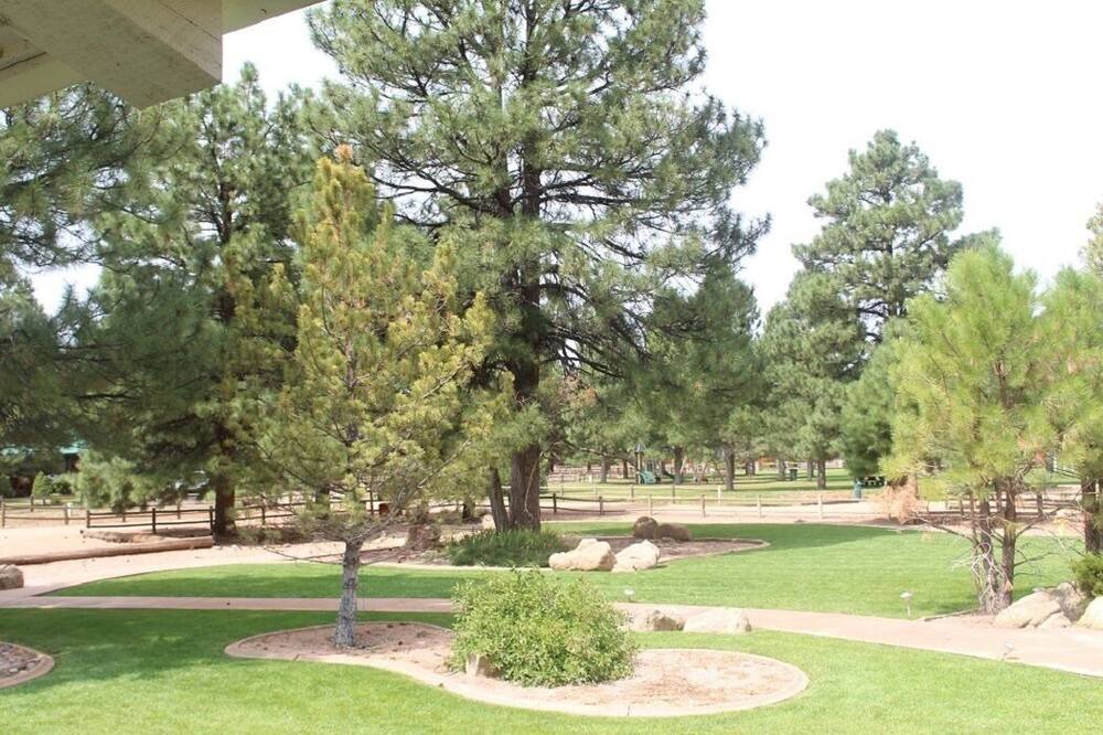 Photo of Others in Clay Springs
