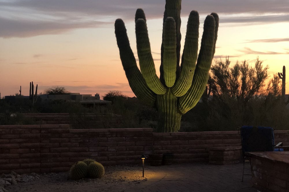 Photo of Outdoor in Velvet Shadows