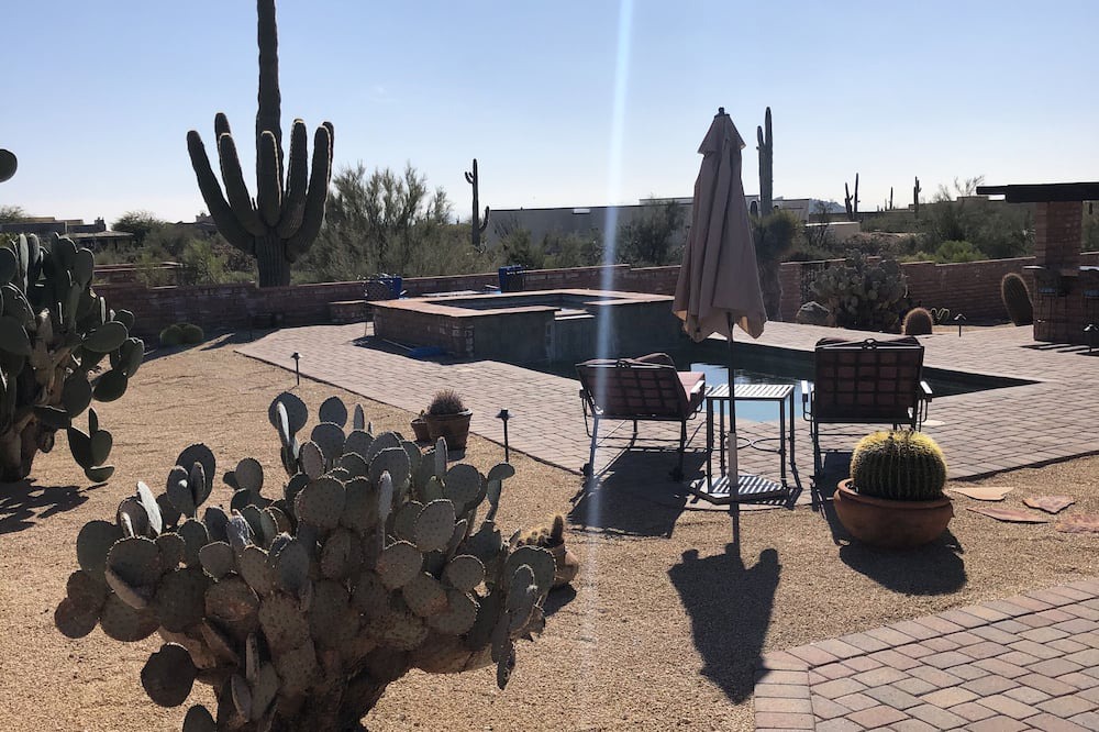 Photo of Outdoor in Velvet Shadows