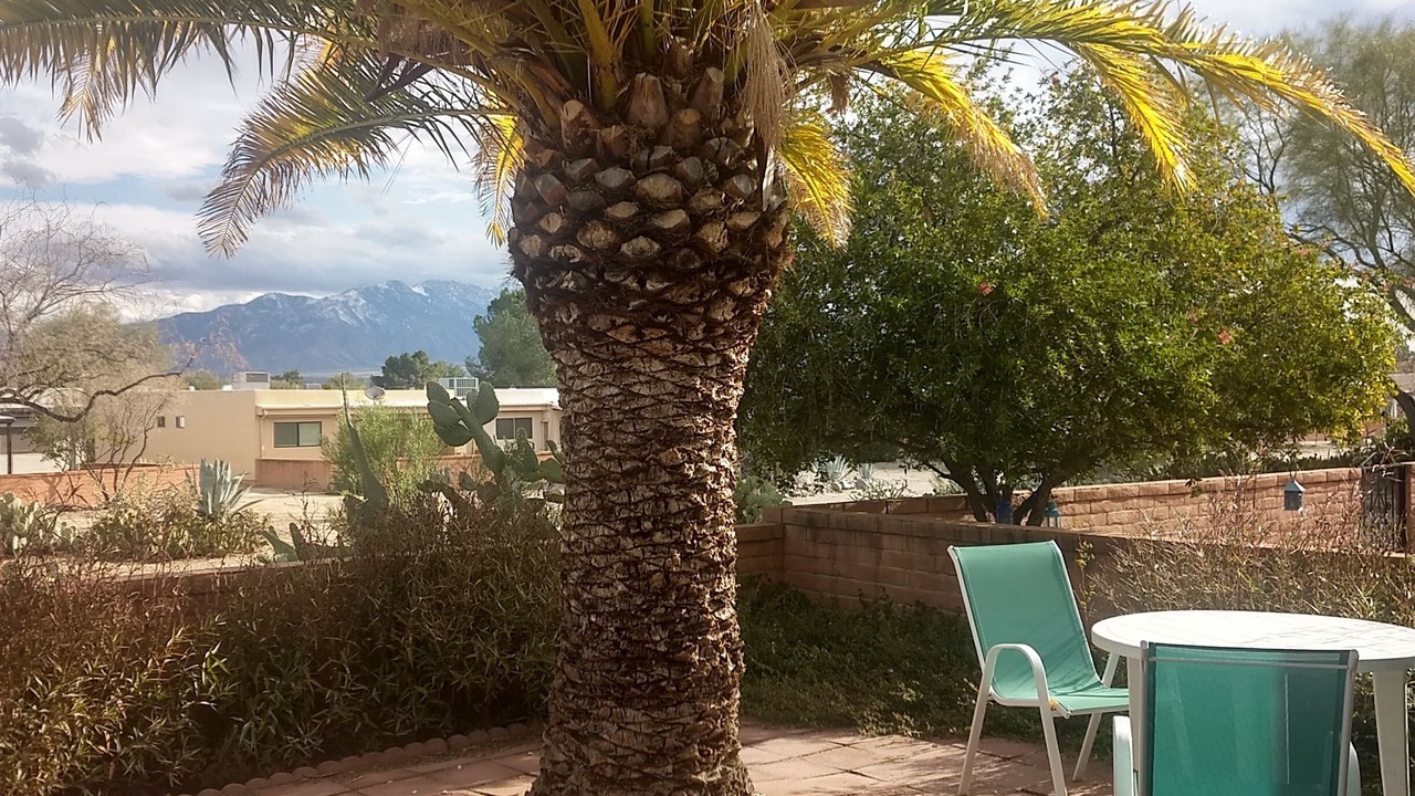 Photo of Outdoor in Casa Paloma II