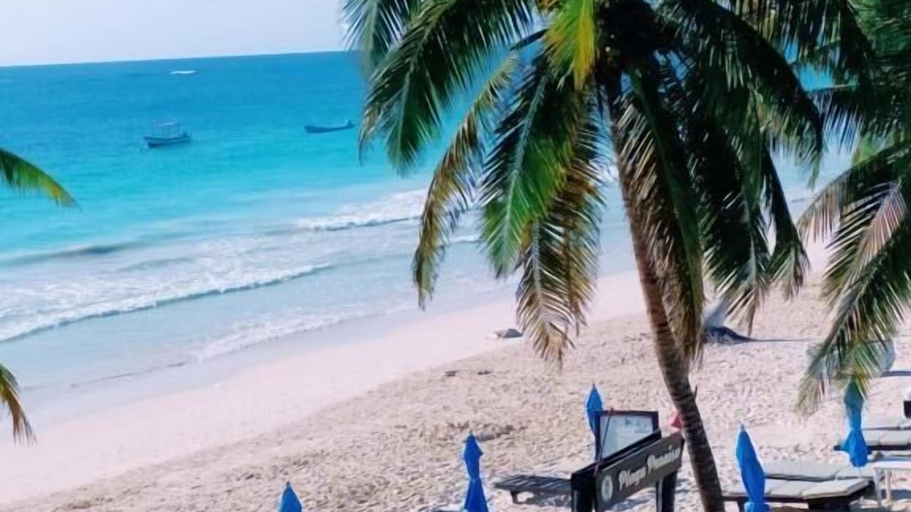 Photo of Others in Playa Paraiso