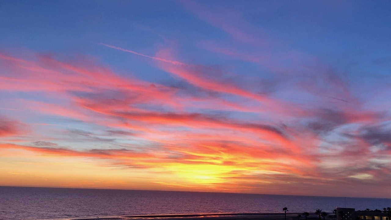 Photo of Others in Puerto Penasco