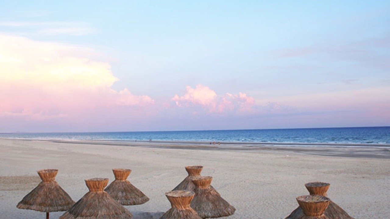 Photo of Others in Puerto Penasco