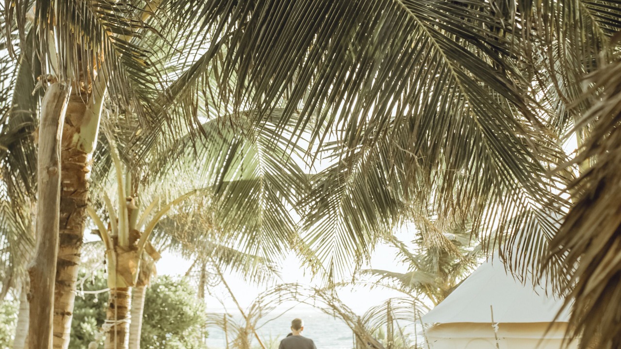 Photo of Outdoor in Playa Paraiso