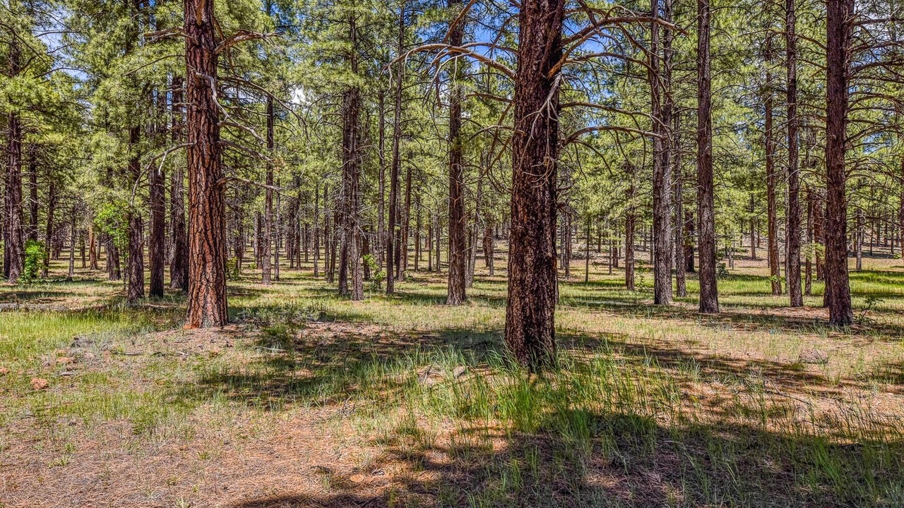 Photo of Outdoor in Parks
