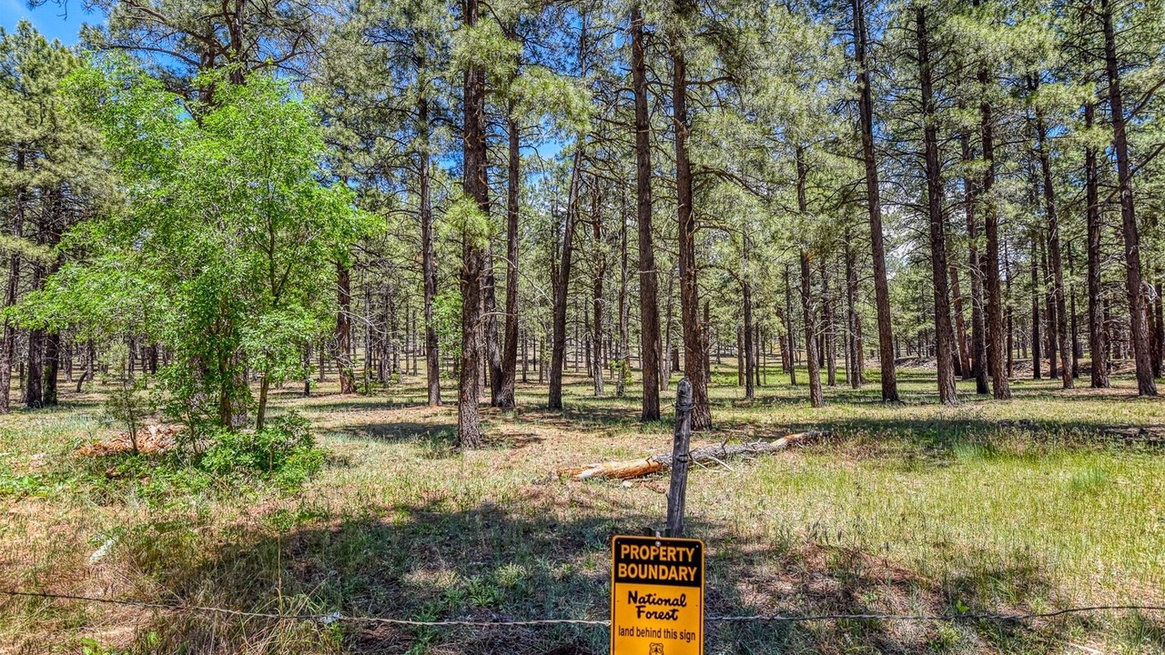 Photo of Outdoor in Parks