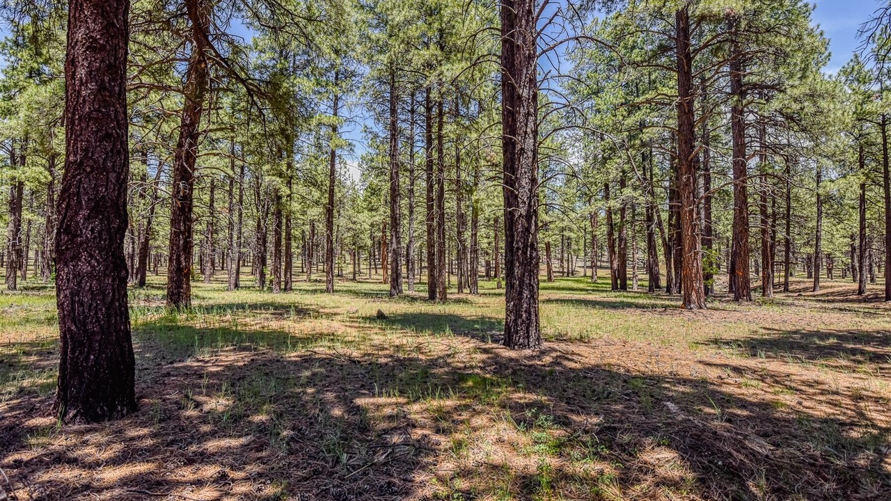 Photo of Outdoor in Parks