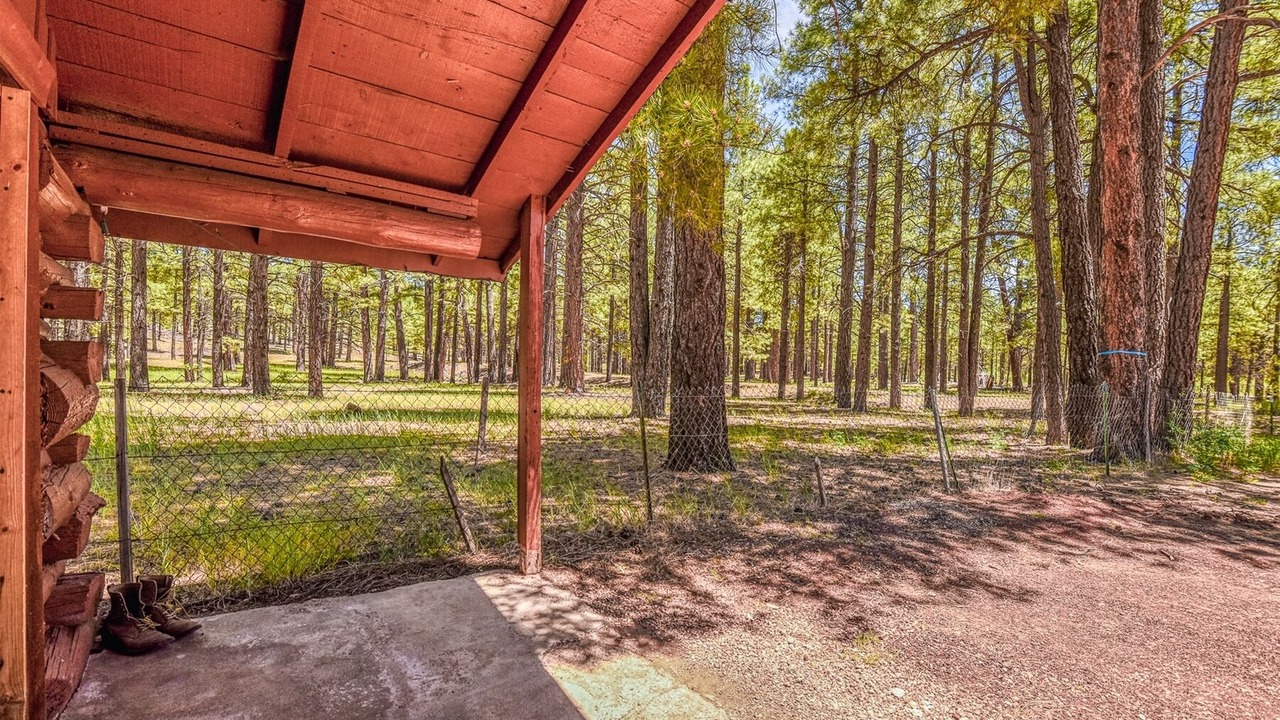 Photo of Outdoor in Parks