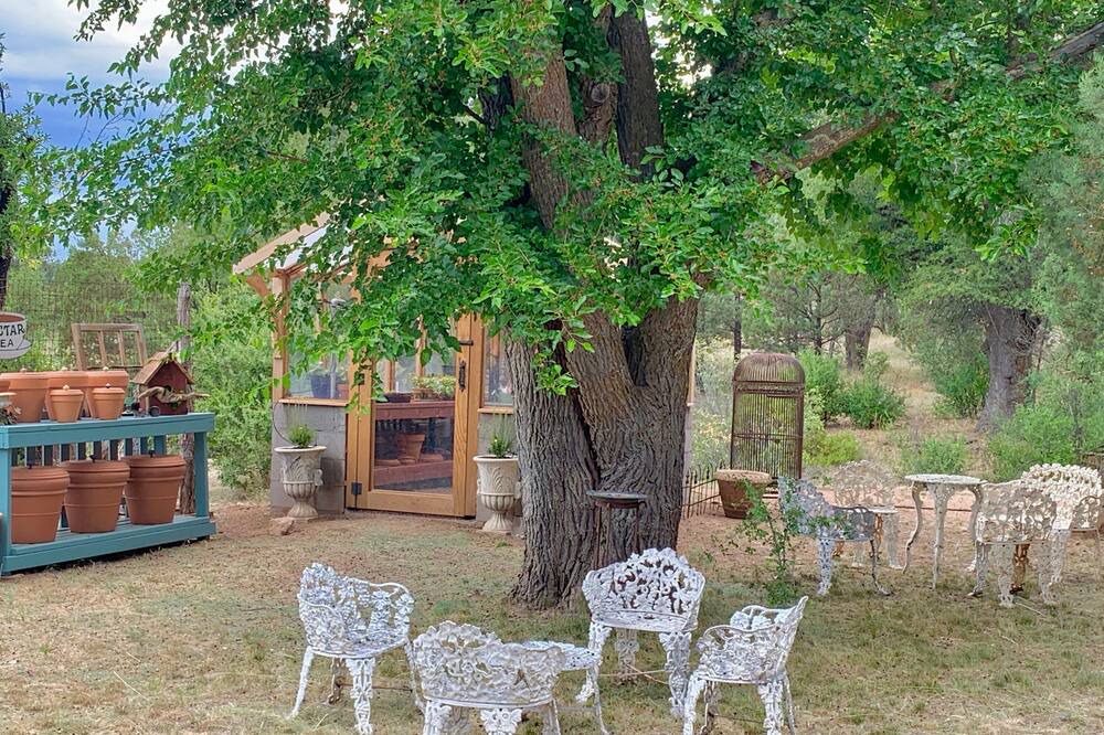 Photo of Outdoor in Young