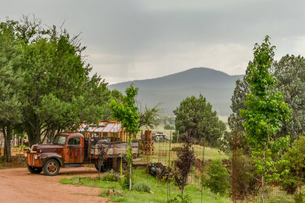 Photo of Outdoor in Young