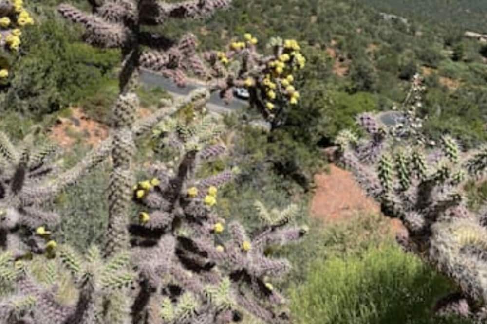 Photo of Outdoor in Sedona