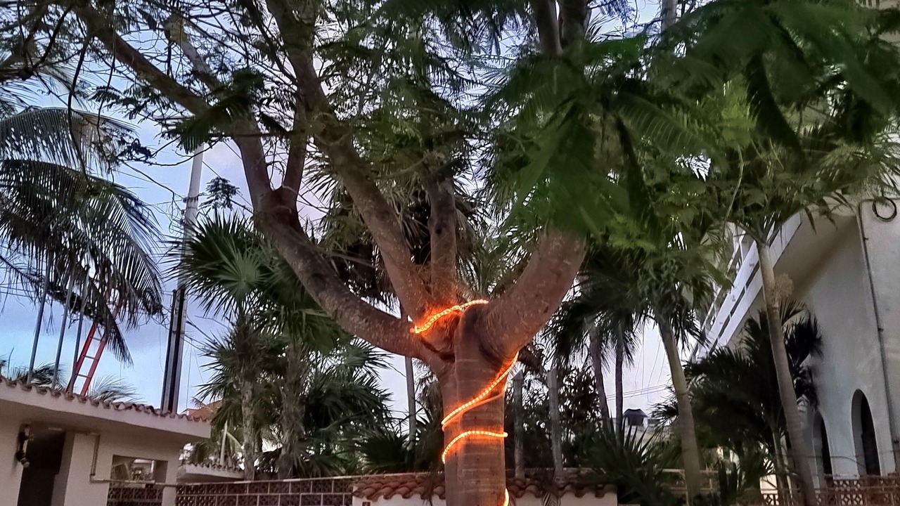 Photo of Outdoor in Puerto Morelos