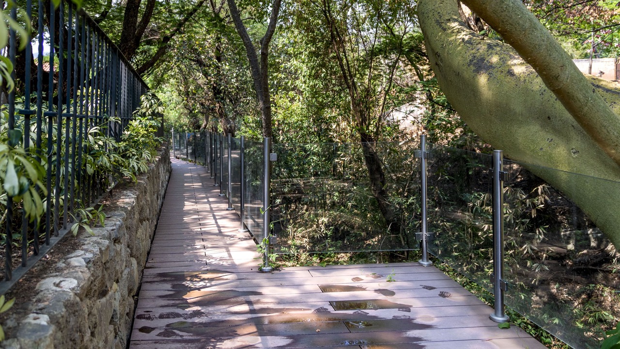 Photo of Outdoor in Malinalco