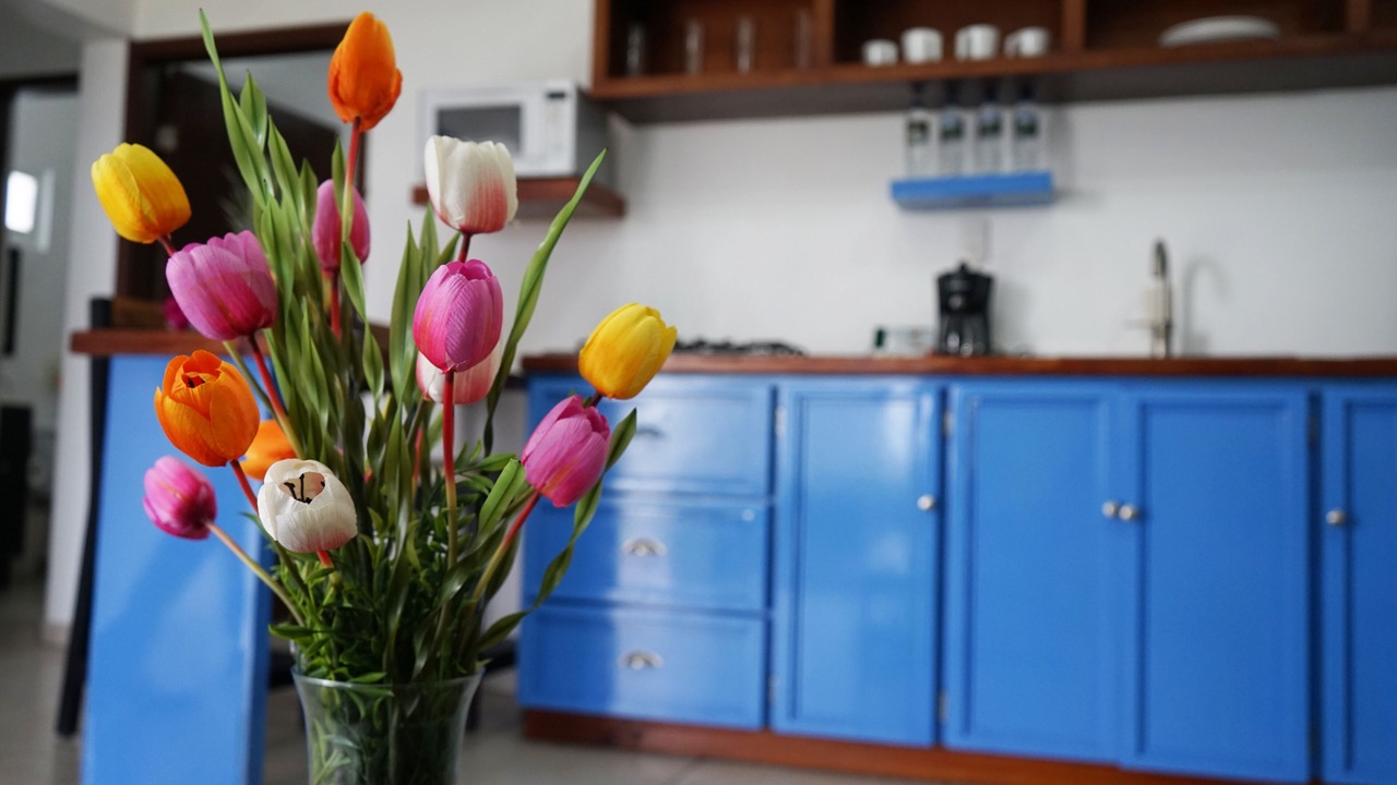 Photo of Kitchen in Teacapan