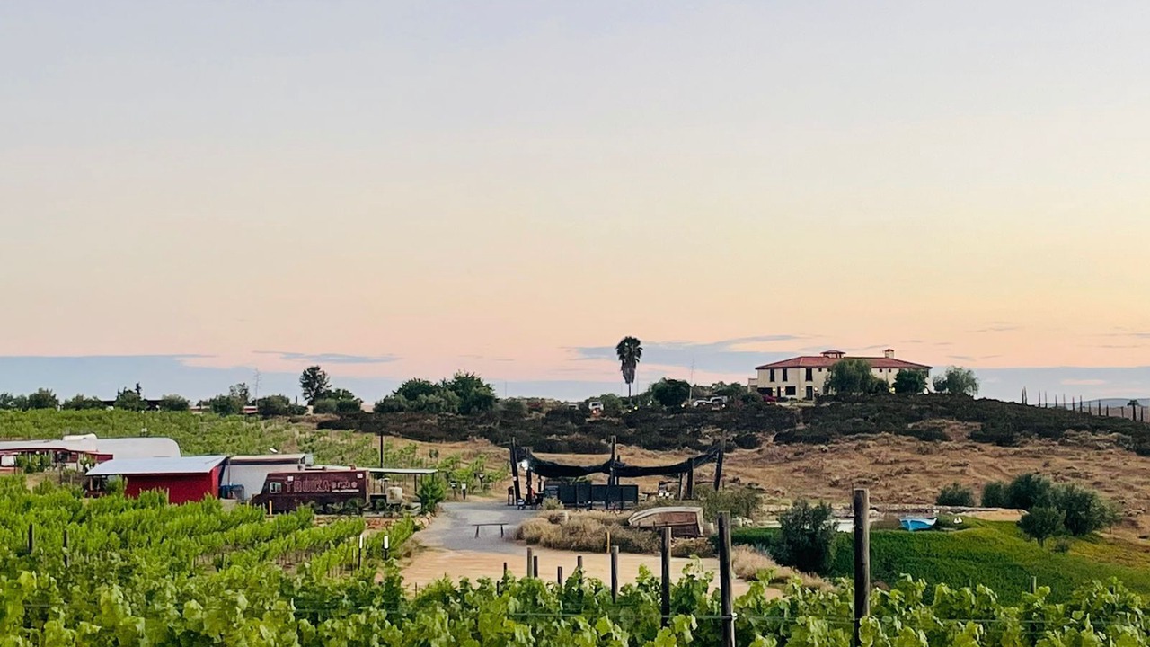 Photo of Others in Valle de Guadalupe