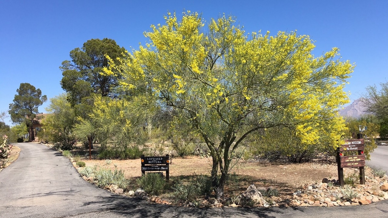 Photo of Outdoor in Tucson