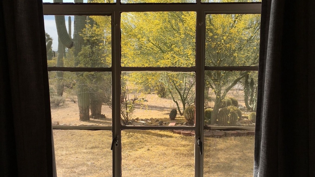 Photo of Others in Tucson