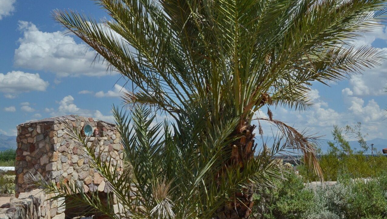 Photo of Outdoor in Tucson