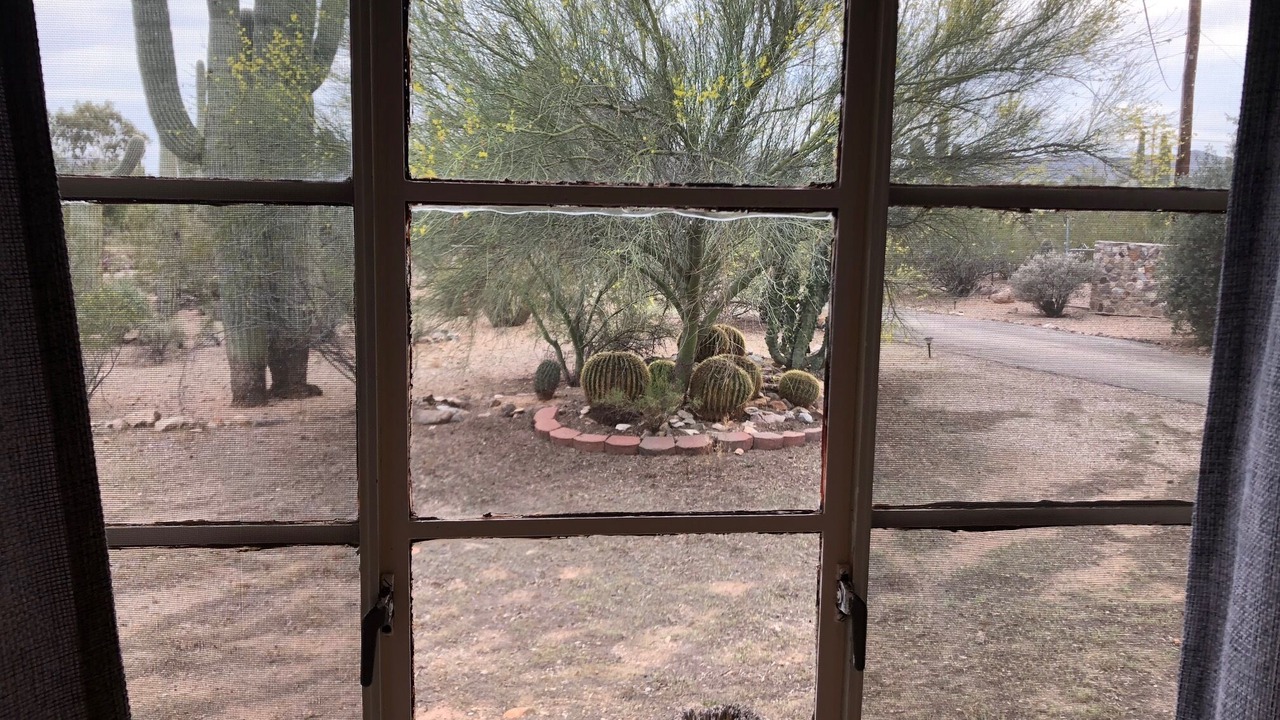 Photo of Others in Tucson