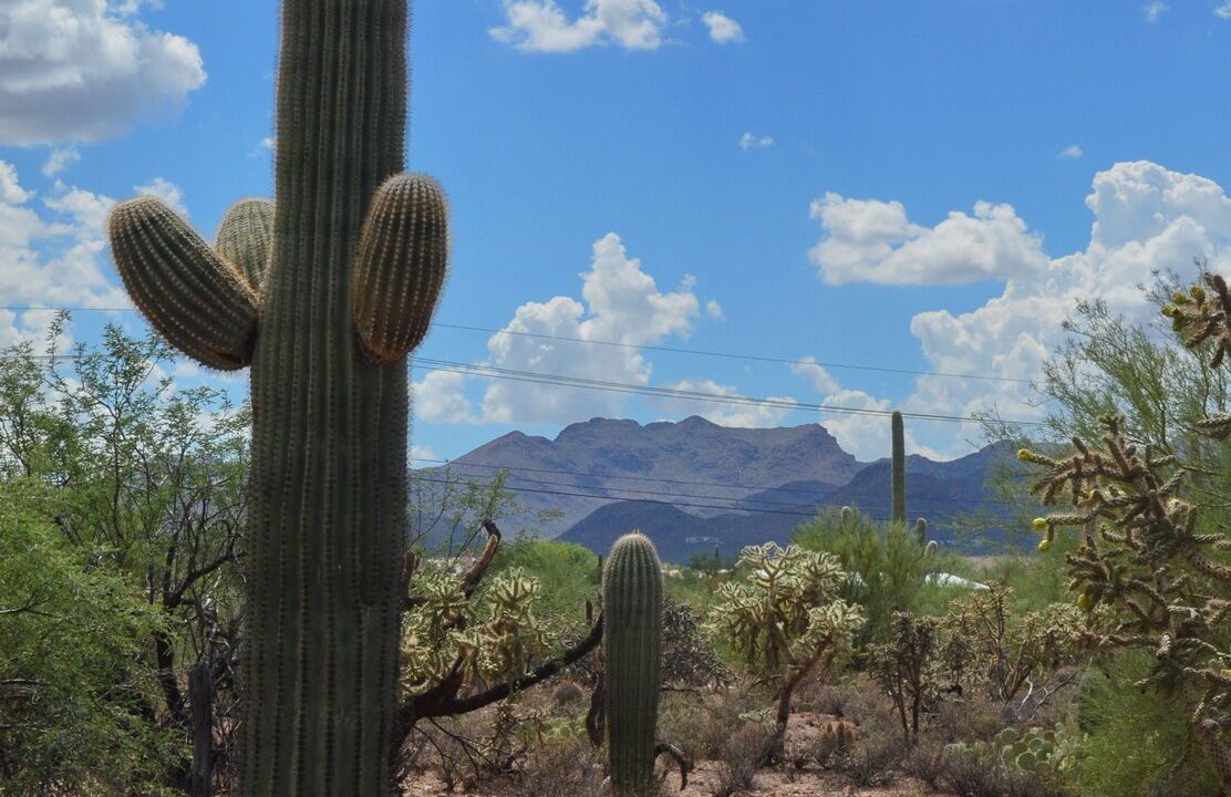 Photo of Outdoor in Tucson