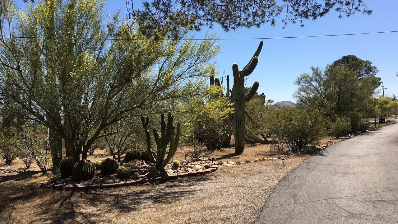 Photo of Outdoor in Tucson