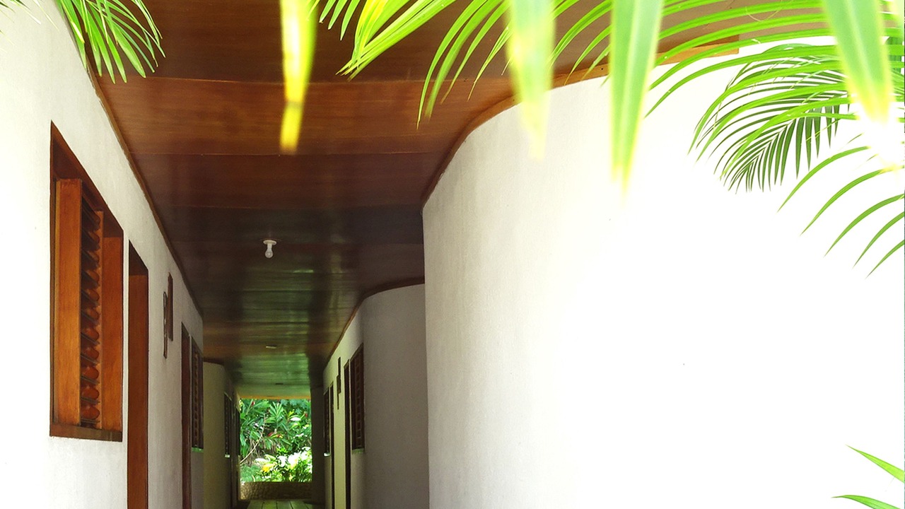 Photo of Others in Palenque