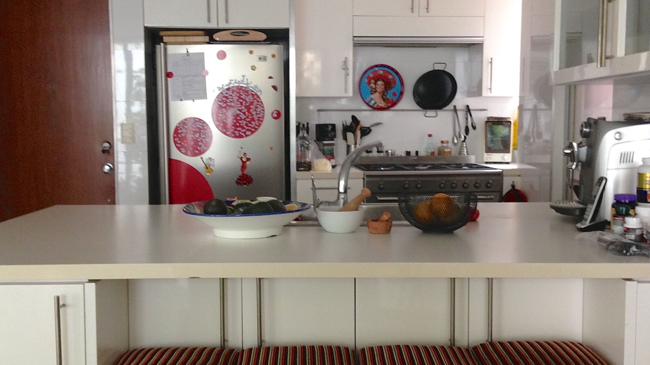 Photo of Kitchen in Miguel Hidalgo