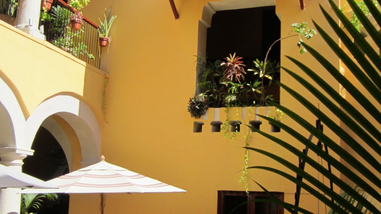Photo of Outdoor in Zona Centro