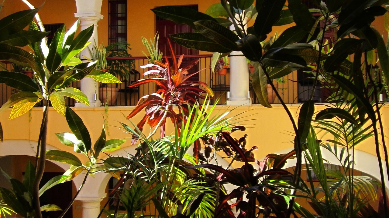 Photo of Others in Zona Centro