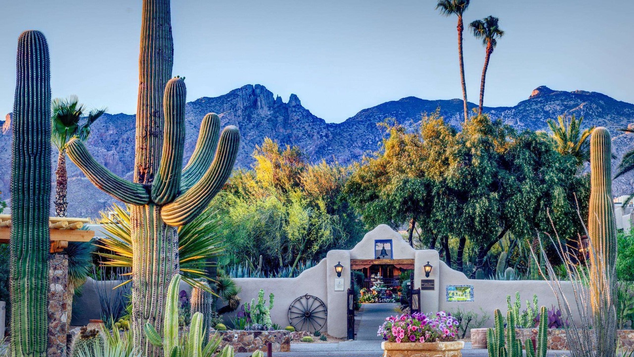 Photo of Outdoor in Tucson