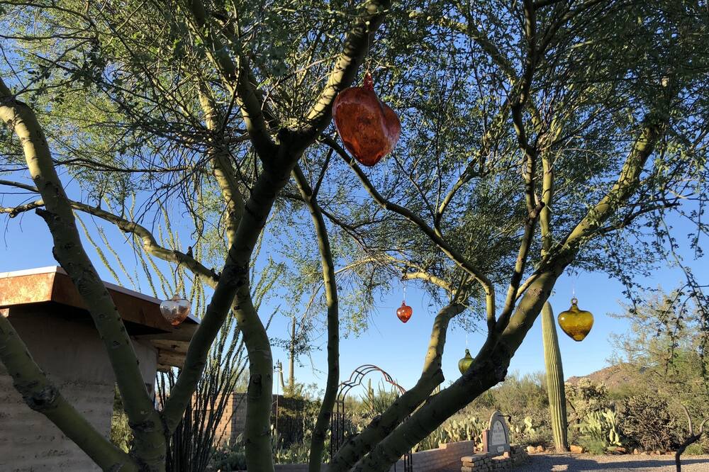 Photo of Outdoor in Tucson Estates