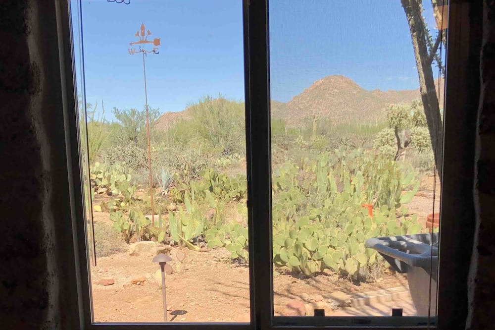 Photo of Others in Tucson Estates