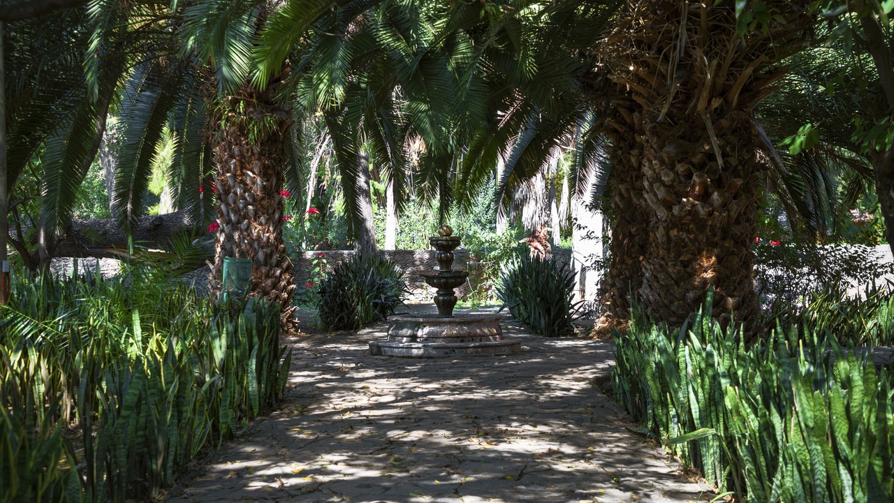 Photo of Outdoor in Guanajuato