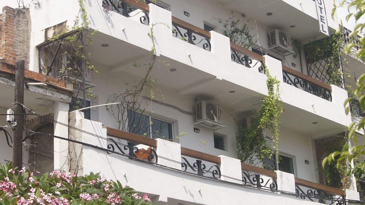 Photo of Outdoor in Downtown Puerto Vallarta