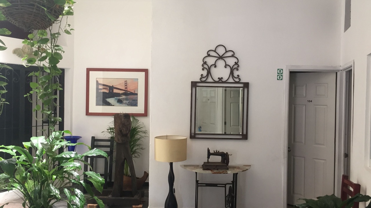 Photo of Others in Downtown Puerto Vallarta
