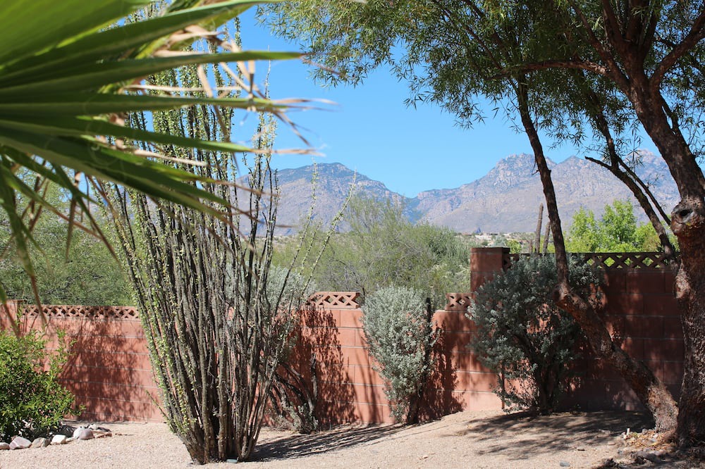 Photo of Others in Tucson